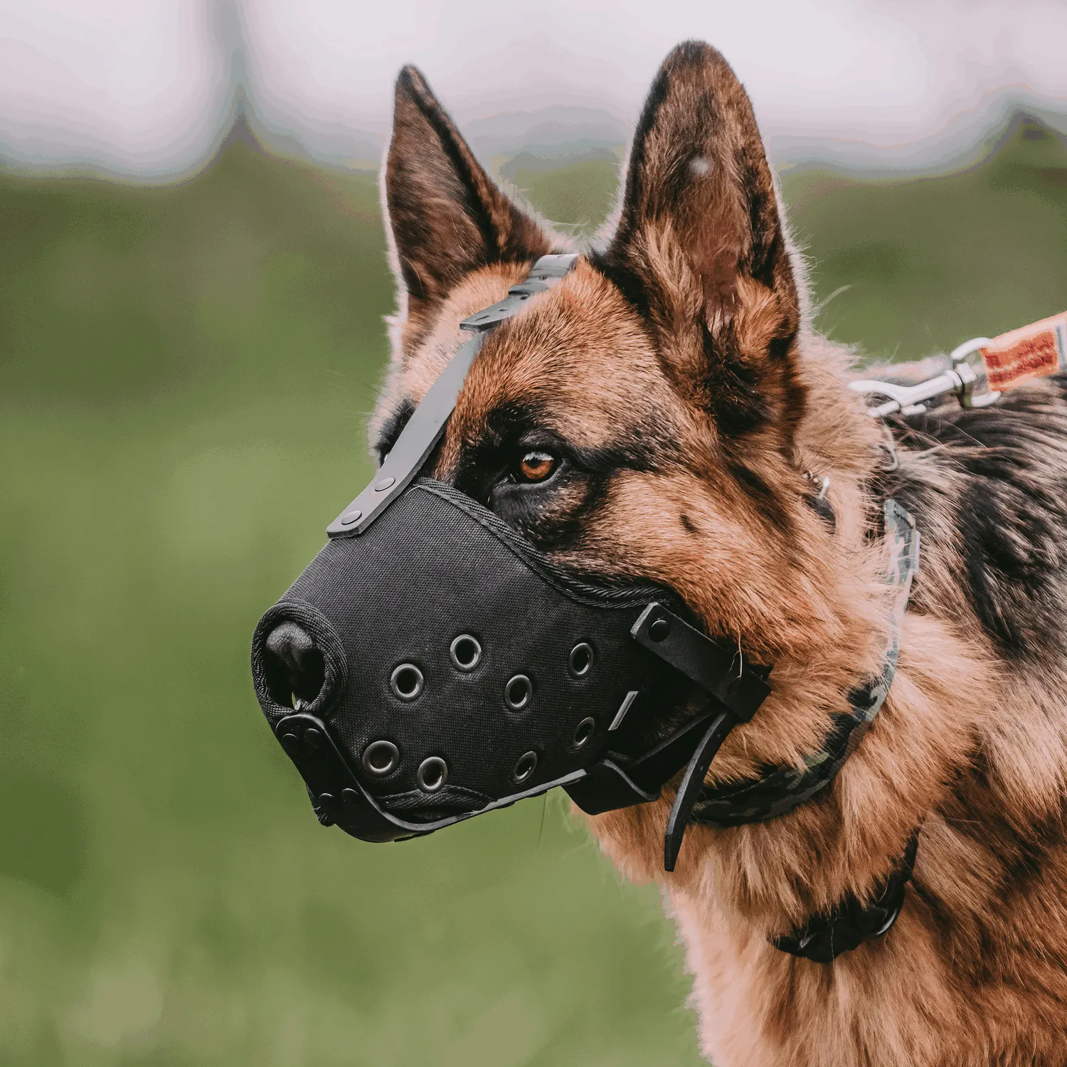 Sprenger Professional Cordura Muzzle with Aluminium Bar