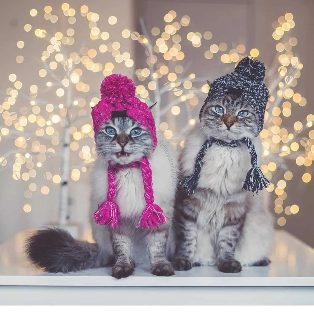 Warm And Windproof Fluffy Hat