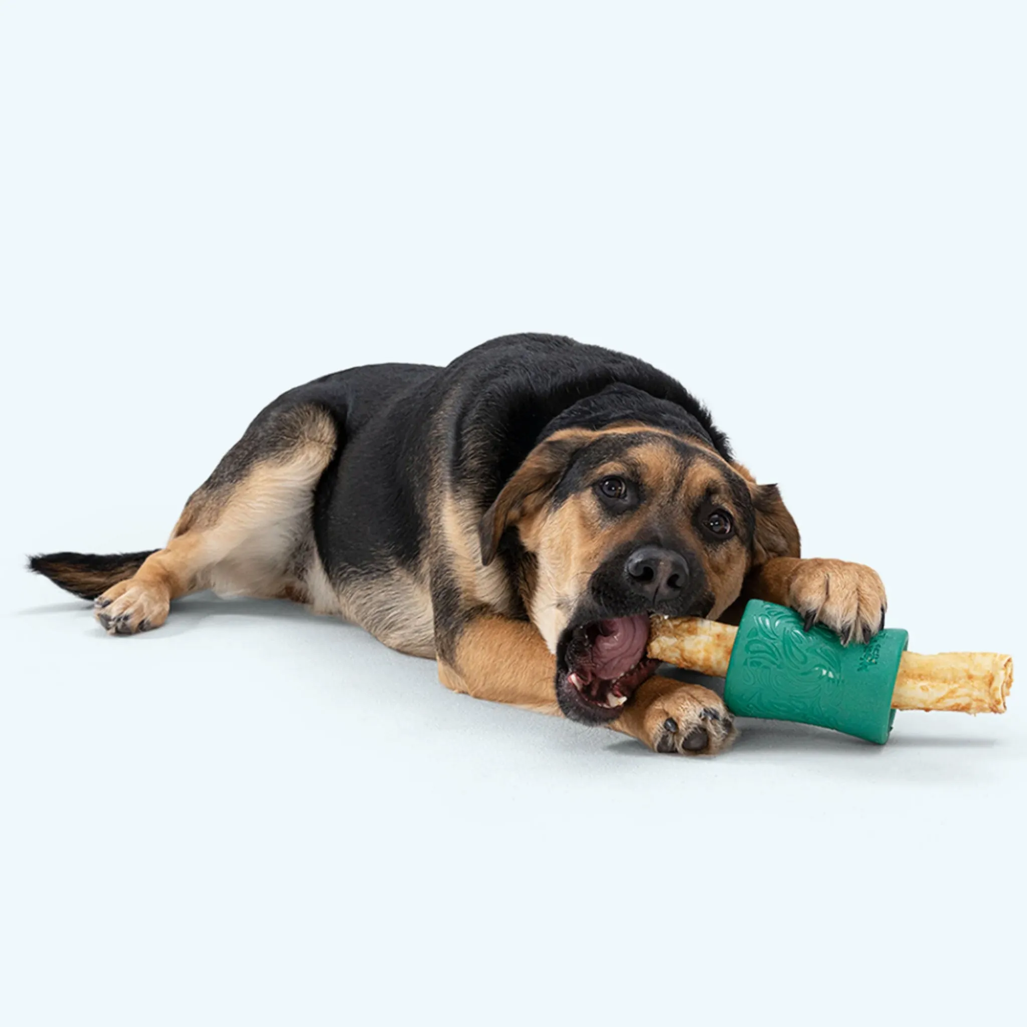 West Paw Funnl - Green